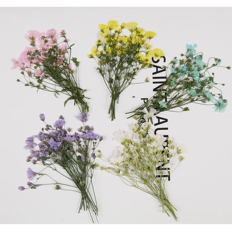 250pcs Pressed Dried Gypsophila Paniculata Flower Herbarium For Epoxy Resin Jewelry Making Bookmark Face Makeup Nail Art Craft