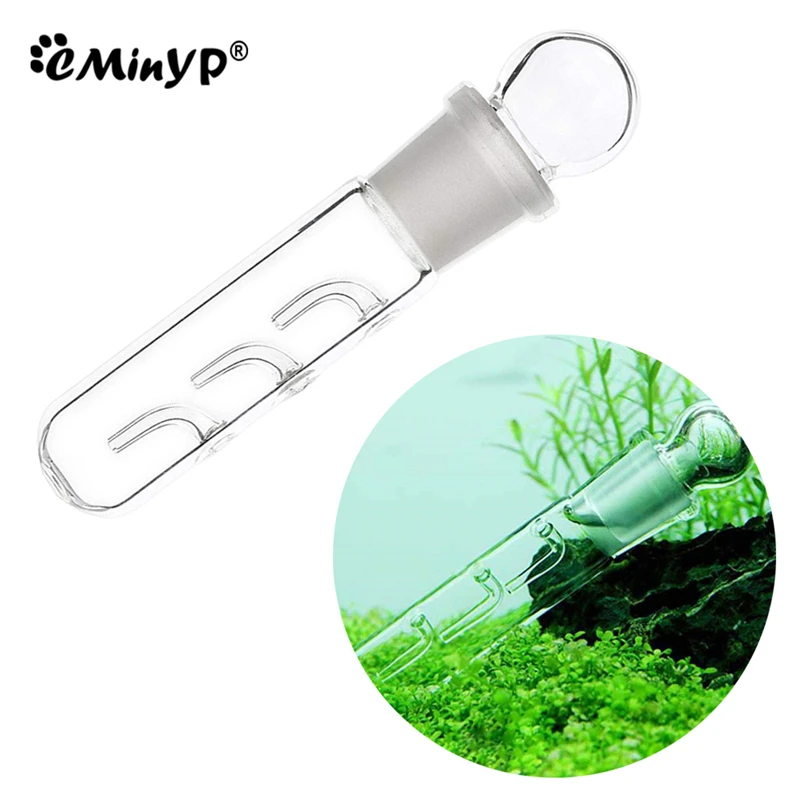 Aquarium Planaria Trap FIsh Tank Clear Glass Catch Trap for Cherry Shrimp Crystal Red Shrimp Dwarf Shrimp Flat Worms Leeches