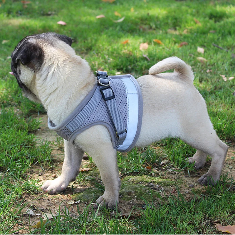 Mesh Dog Harness Leash Set for Small Pet Dogs Puppy Pug Bulldog Pulling Rope Breathable Vest Collar Cat Accessories Training