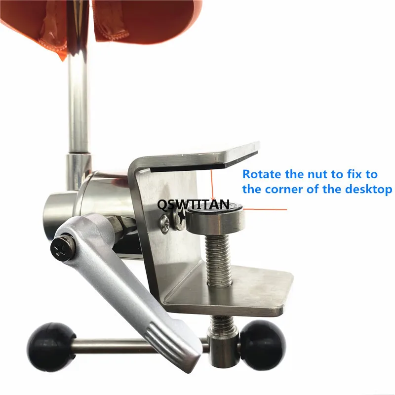 Dental Manikins Phantom Head Model Simulation Training Teeth Model for Dental Teaching