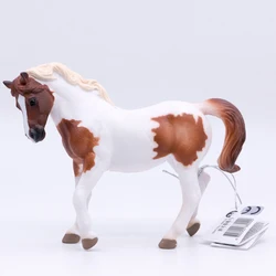 2021 CollectA Horse Country Farm AnimalsChincoteague Pony - Chestnut Pinto 1:20 PVC Figure Model Toys for Kids #88929