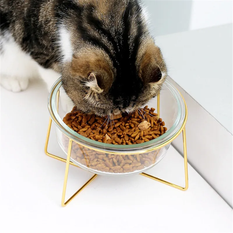 New Non-slip Cat Bowls Glasses Single Bowls with Gold Stand Pet Food&Water Bowls for Cats Dogs Feeders Pet Products Cat Bowl