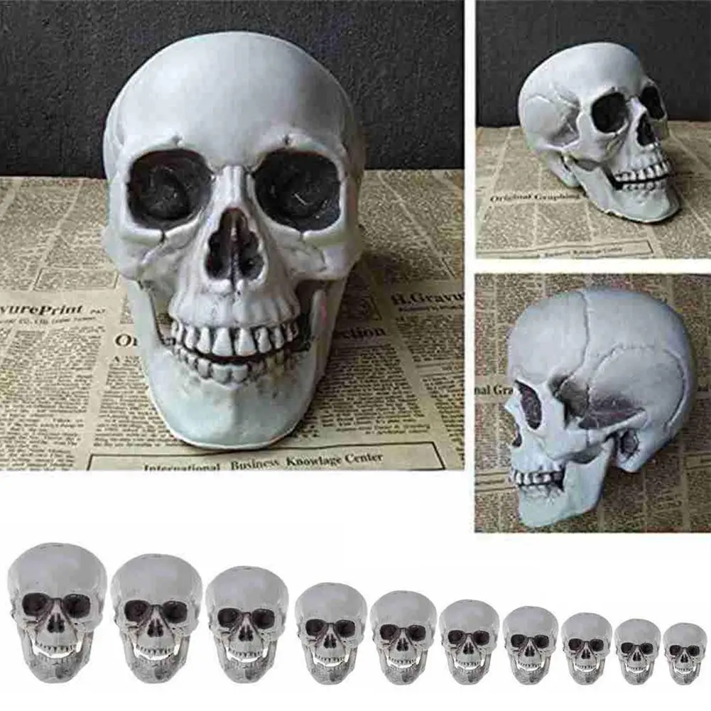 Modelo de cabeza de calavera Artificial para Halloween, calavera de miedo de plástico, Casa Encantada, accesorios para fiesta de Halloween, Bar, decoración del hogar