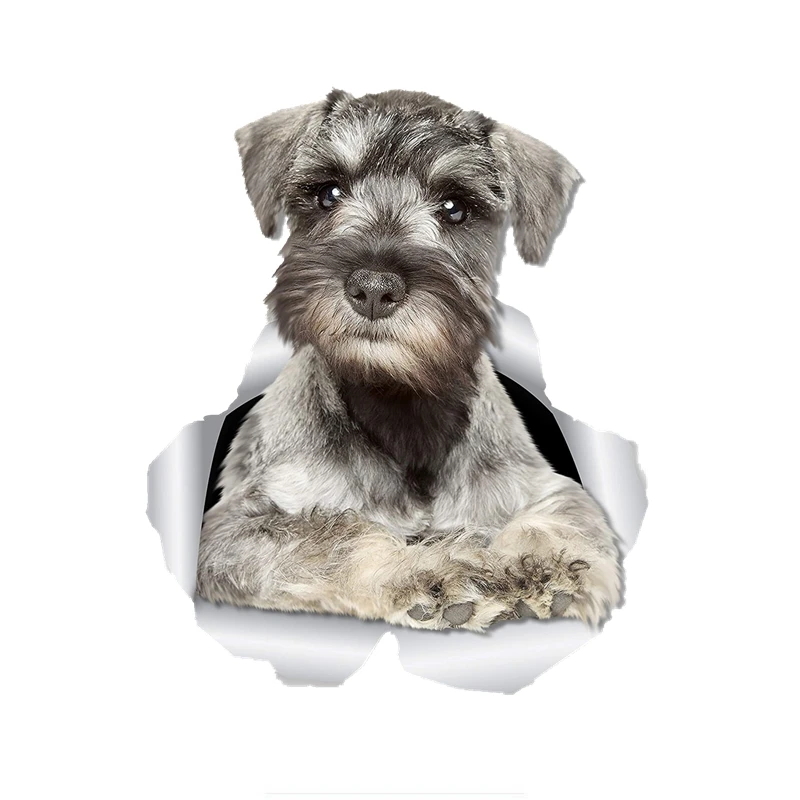 Fuzhen Boutique Decals Exterior Accessories 3D Curious Schnauzer Dog Sticker Decal for Car Wall Kid's Room Luggage Skateboard