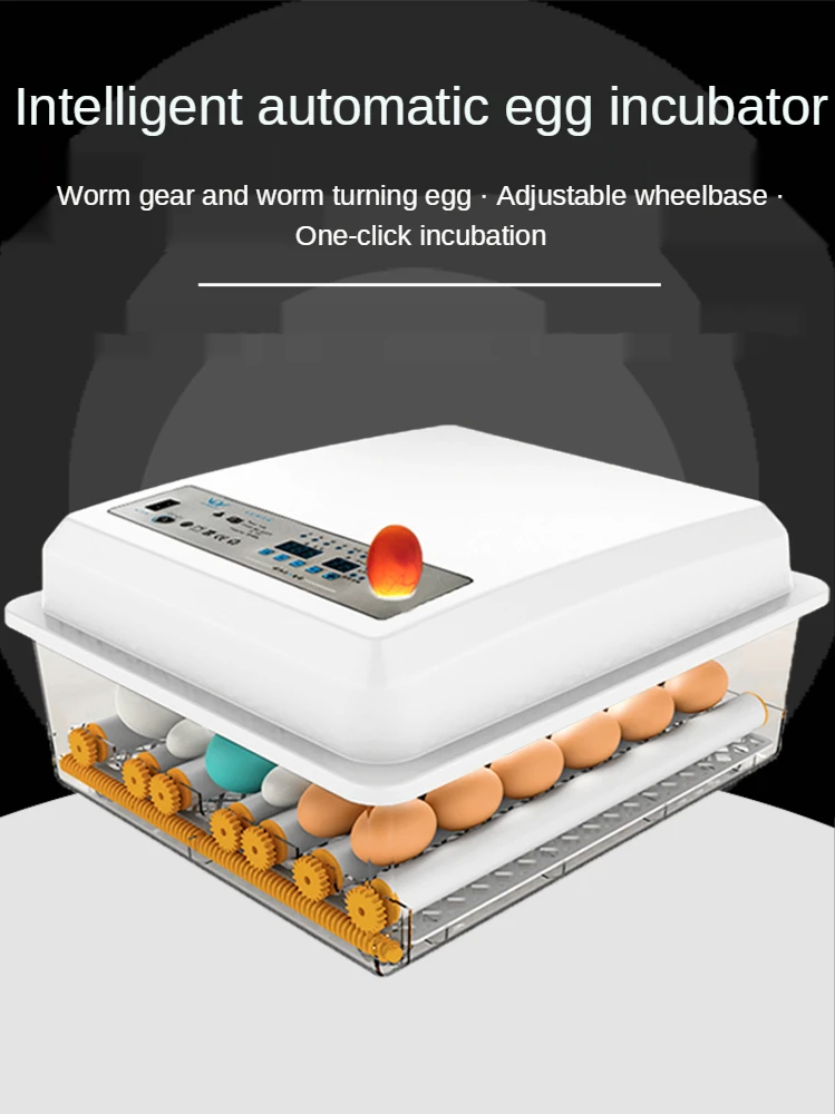 Eggs Incubator 16 Eggs Digita Mini Automatie Incubatores with Turner for Hatching Turkey Goose Quail Chicken Egg Hatcher Machine