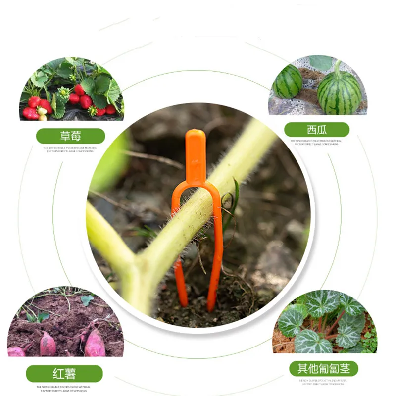 Watermelon Vine Fixed Fork Plastic Garden Plant Clips for Trellis Twine Greenhouse Tool Strawberry Bundled Vines Vegetable Clips