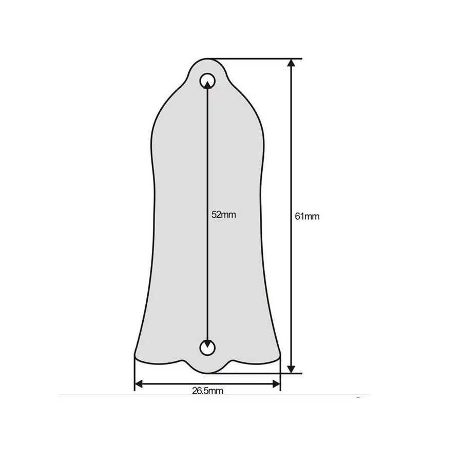 Piastra di copertura per Truss Rod per chitarra elettrica per LP Standard 2 fori