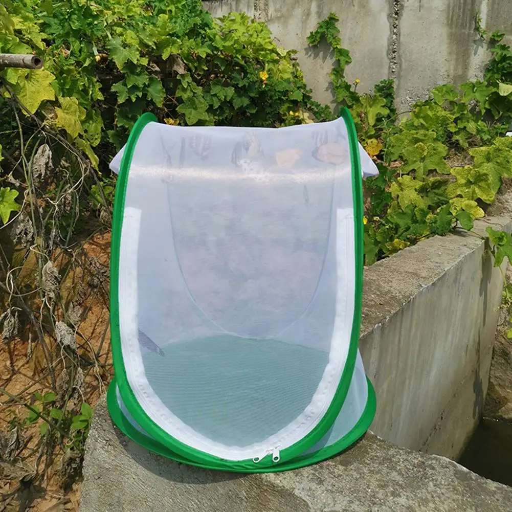 Mini Plant Greenhouse Durable Folding Cover Protector Net With Transparent Window For Plant Cultivation Or Insect Breeding