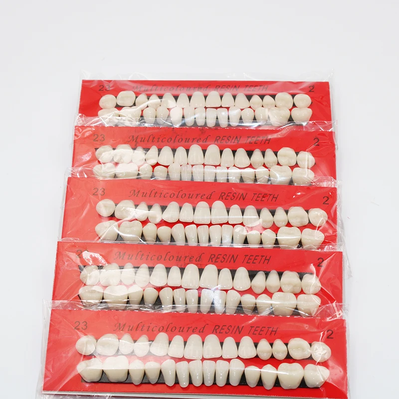 Material Dental modelo de enseñanza de dientes de plástico Material Dental dedicado herramienta de cuidado Dental útil tipo A2 modelo de dientes 10
