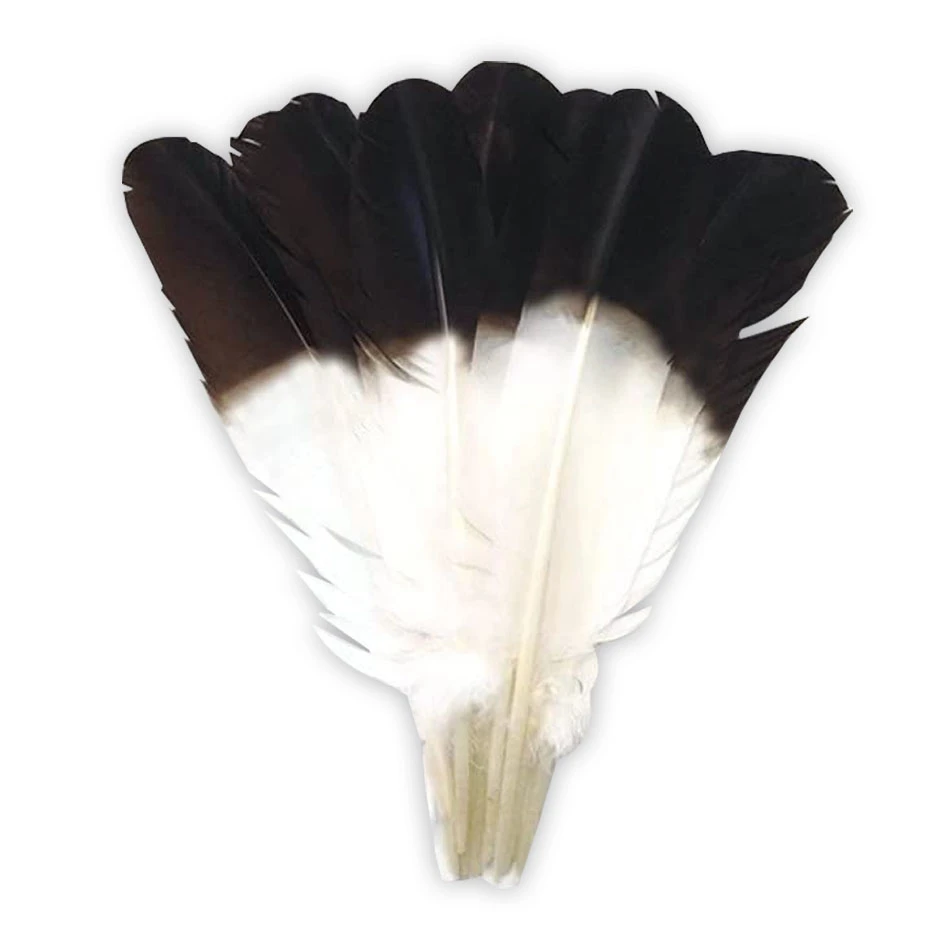 10Pcs Natural Plume White Black Turkey Feathers for Crafts Home DIY Feather Party Wedding Decoration Accessories 25-30cm