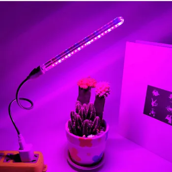 5V 10W 21led Usb Led Plant Groei Lamp Full Spectrum Verlichting Voor Hydrocultuur Kas Rood/Blauw Kweek Licht Plant Bloem Groeiende