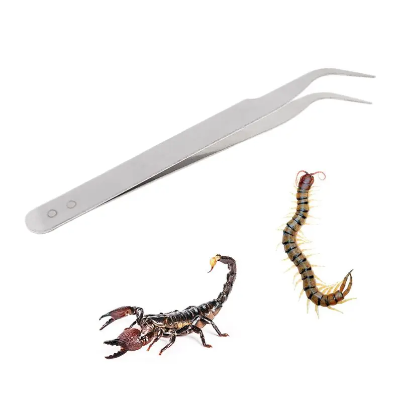 Pinzas limpieza Clip acero inoxidable, suministros alimentación para reptiles, cuidado orejas para mascotas, venta por mayor