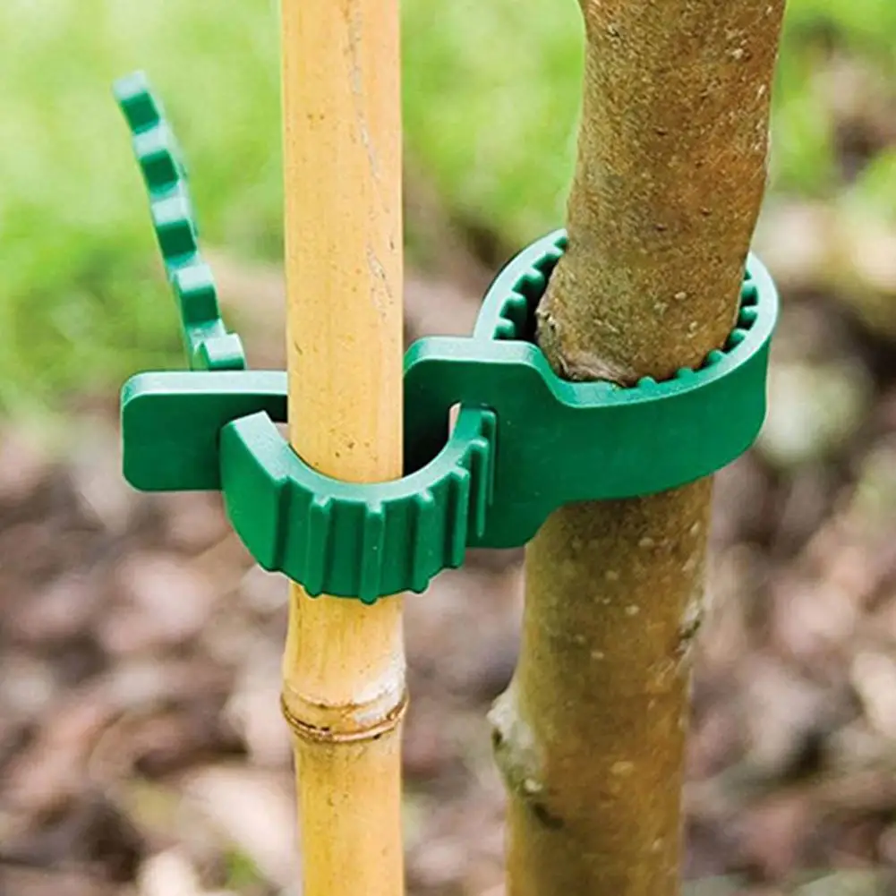 

80% Dropshipping!! 10Pcs Reusable Adjustable Tree Fixing Buckle Plastic Climbing Plants Tree Ties Garden Supplies