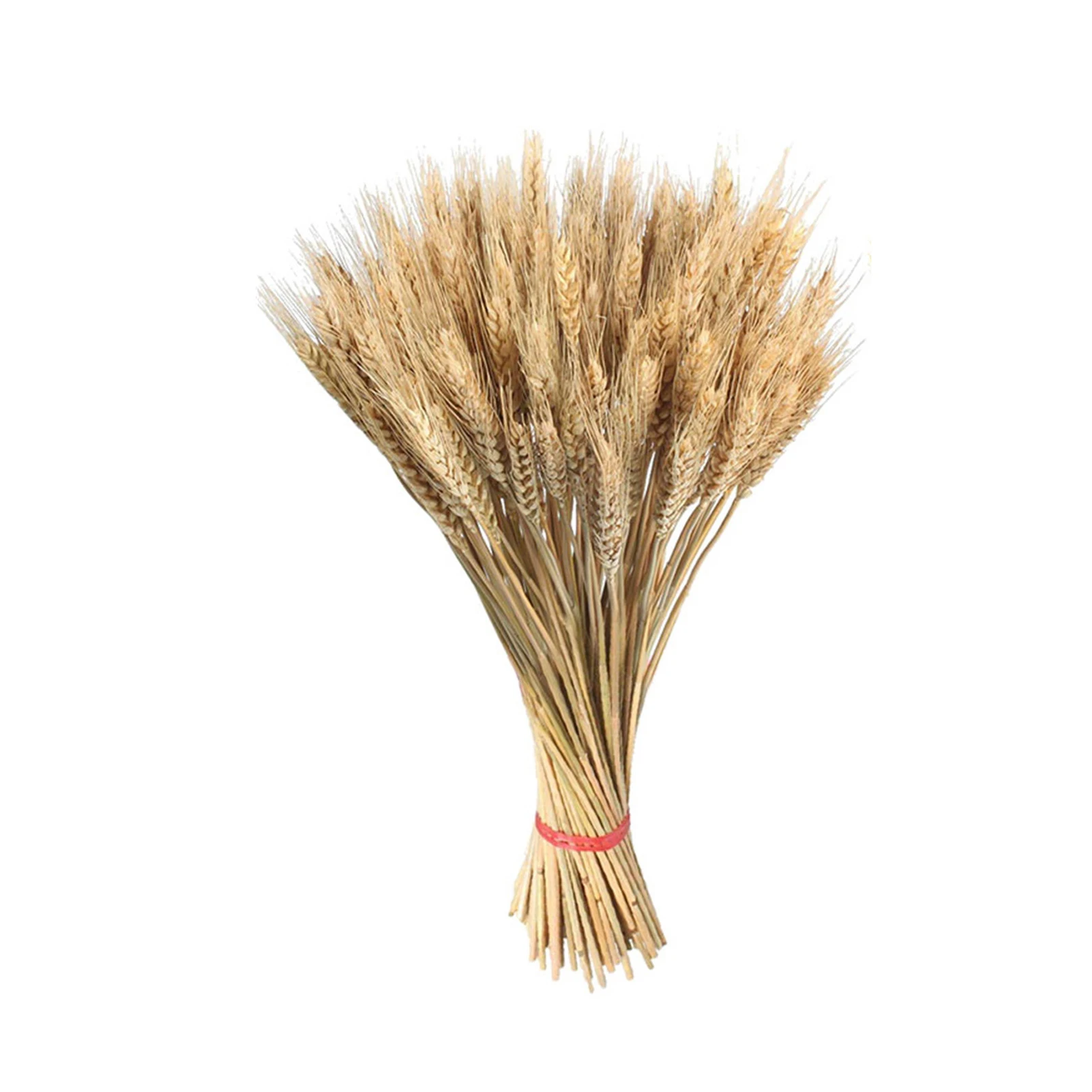 100pcs New Exquisite Wheat Stalks Natural Dry Wheat Decor For Christmas Wedding Home Office Decoration Fake Flower Hot Sale