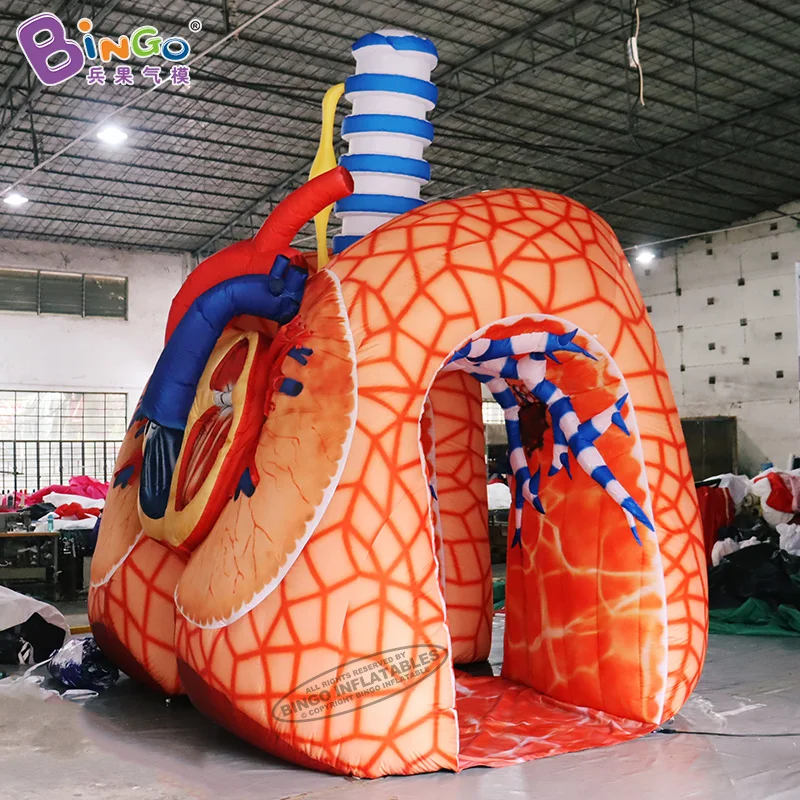 Vivid 4.5x3.5x4.5 Meters Inflatable Lungs Model Balloon For Education Showing / Blow Up Cardiopulmonary Tunnel - BG-H0002-2