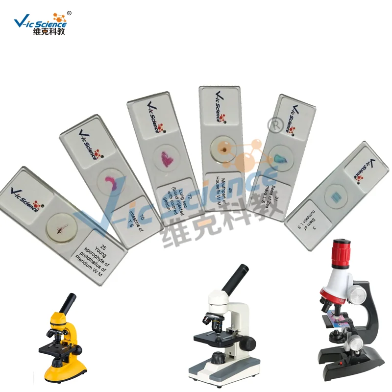 Conjunto educativo de 50 piezas,