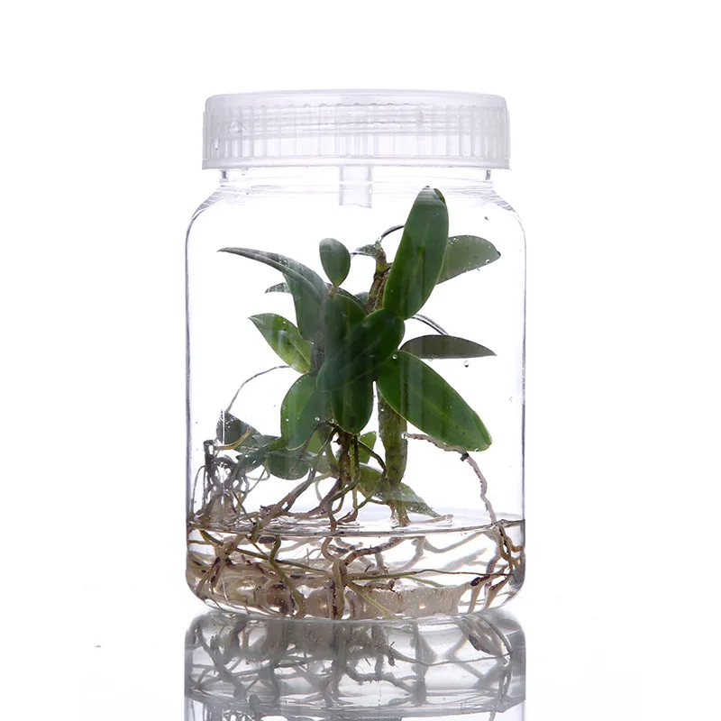 1pc 350mL 500mL Plants Plastic Jars For Bottle Seedling Tissue Culture Seedling High Temperature Resistance  No Deformation