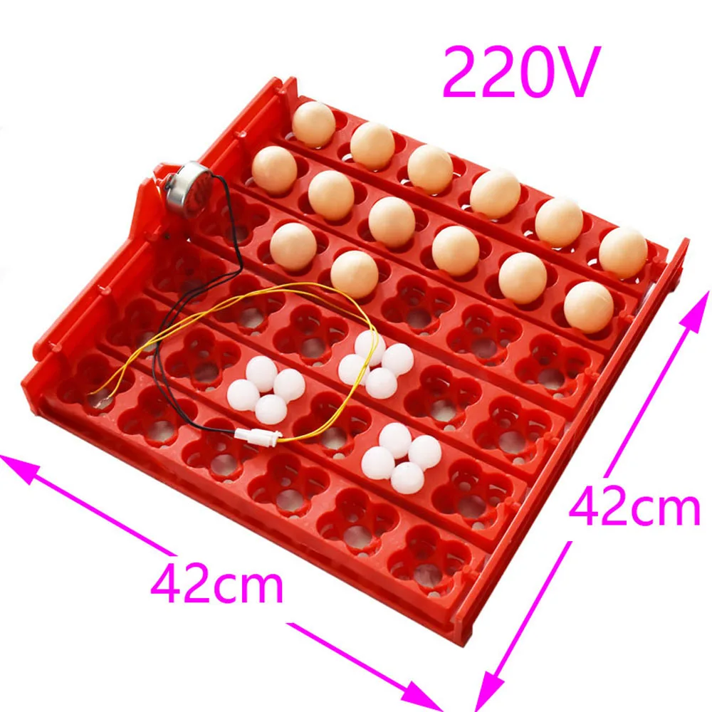 Imagem -02 - Ovos Incubadora Bandeja Ovos Incubadora Galinhas Patos Pombos e Outras Aves Papagaio Suprimentos de Codorna 36 Ovos 144 Ovos ac 220v dc 12v