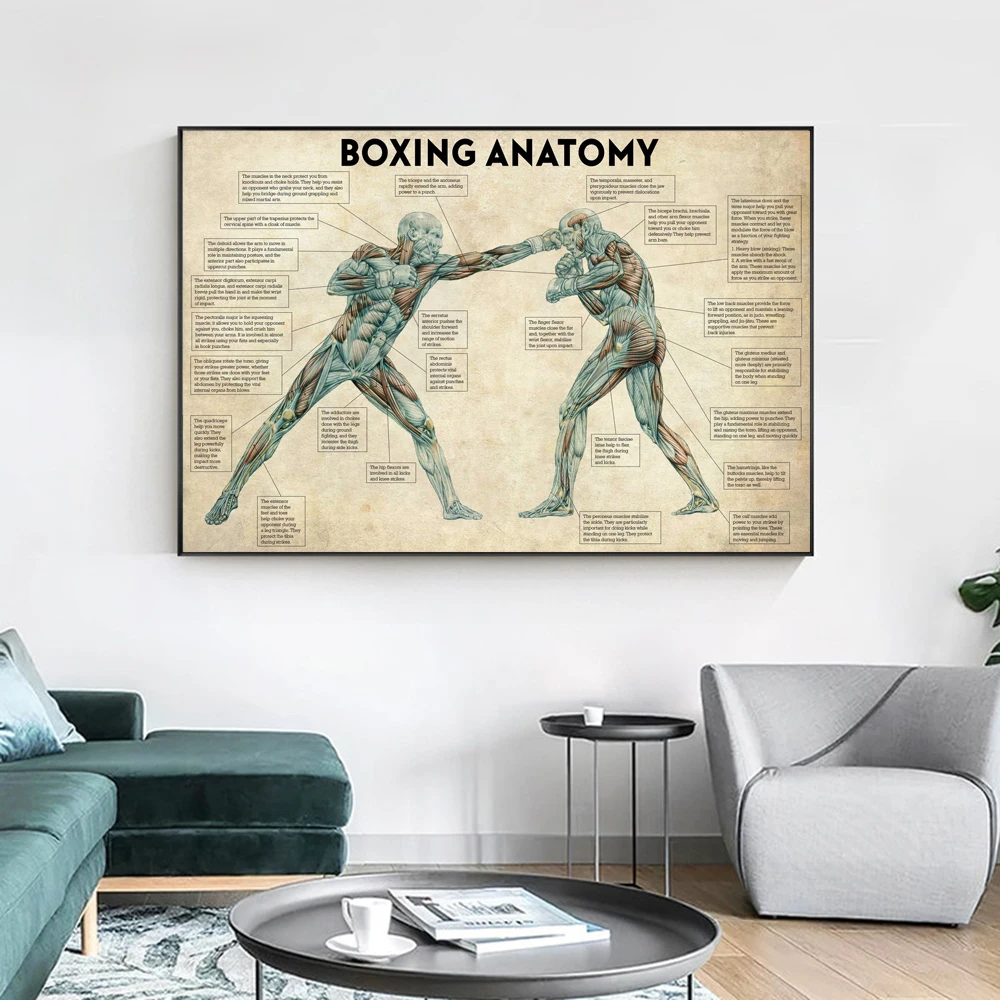 Vintage Boxing Body Anatomy Posters and Prints Wall Art Canvas Painting Boxing Lover Gift for Gym Room Cuadros Home Decoration view 3
