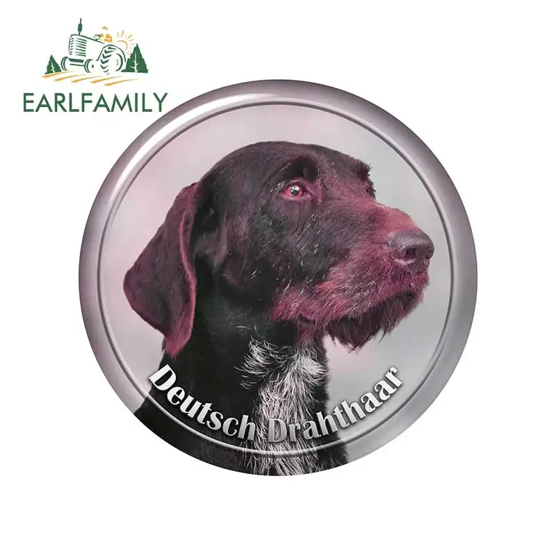 EARLFAMILY 13cm x 12.9cm for German Wirehaired Pointer Dogs Car Accessories Motorcycle Car Decals Bumper Window Stickers