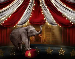 7x5FT Vintage Red Circo Circus Stage Tent Elephant Custom Photo Studio Backdrop Background Vinyl 220cm X 150cm