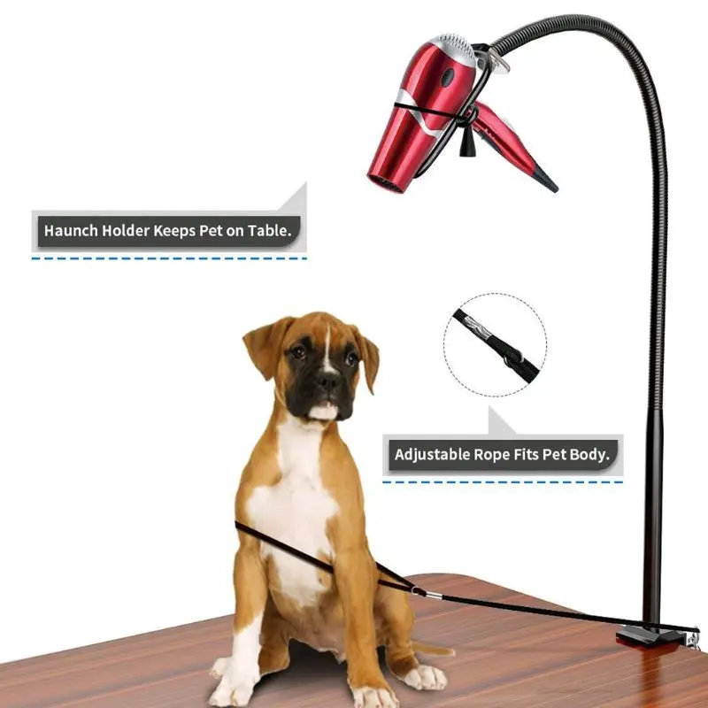 Dual-use Pet Hair Dryer Bracket Telescopic Any Shape Fixation Frame Multipurpose Pet Grooming Accessories Drop Shipping