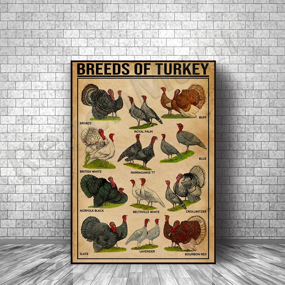Turkey poster breeds, turkey hunting, turkey butcher poster, kitchen poster, butcher printmaking thanksgiving