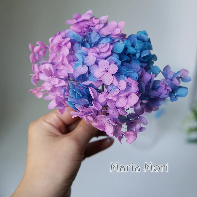 Preserved Hydrangea Anna Hydrangea Little Leaves Decor Office Decor DIY Flowers Wedding Decoration