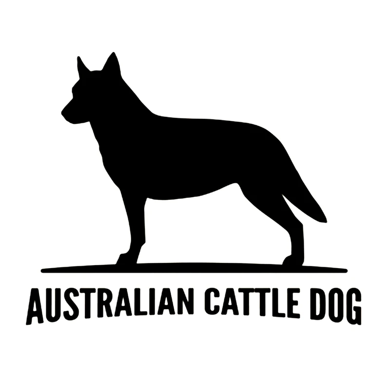 Australian Cattle Dog vinyl car sticker waterproof waterproof removable decal self-adhesive car auto sticker
