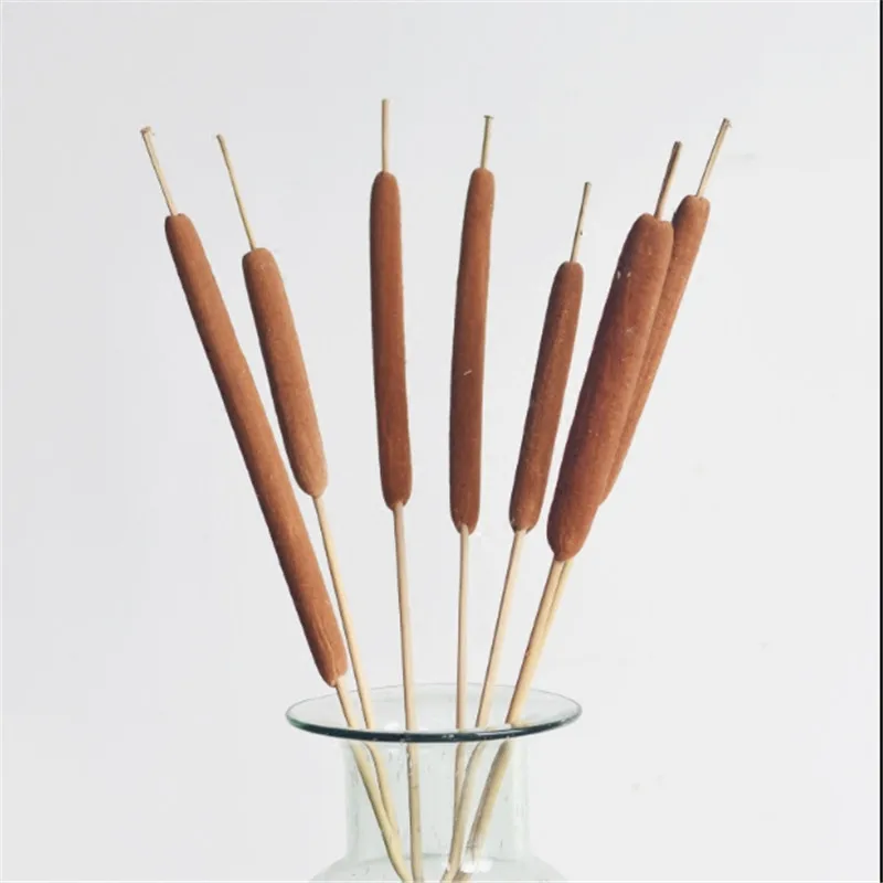 Free Shipping 5pcs reed stick home bonsai decor natural plants cattail 10 pcs dried plants flowers bouquets