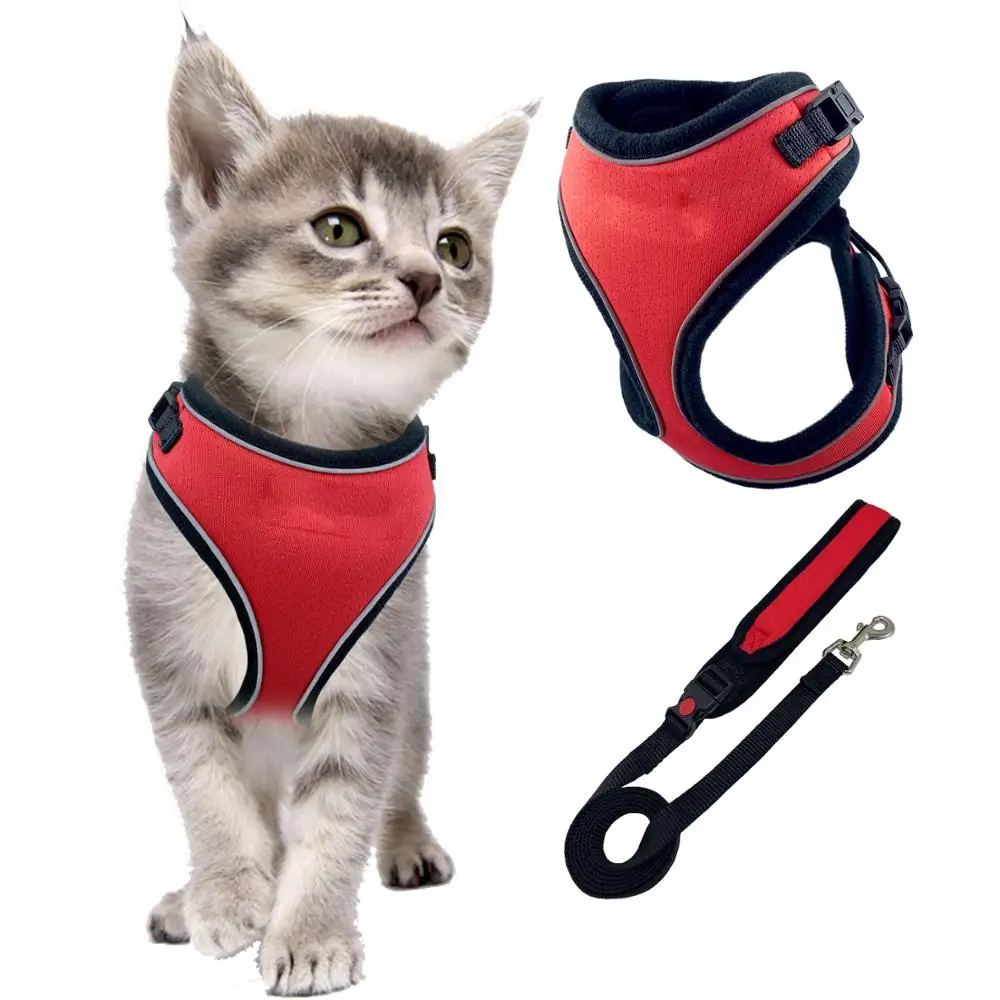 Variant: Red