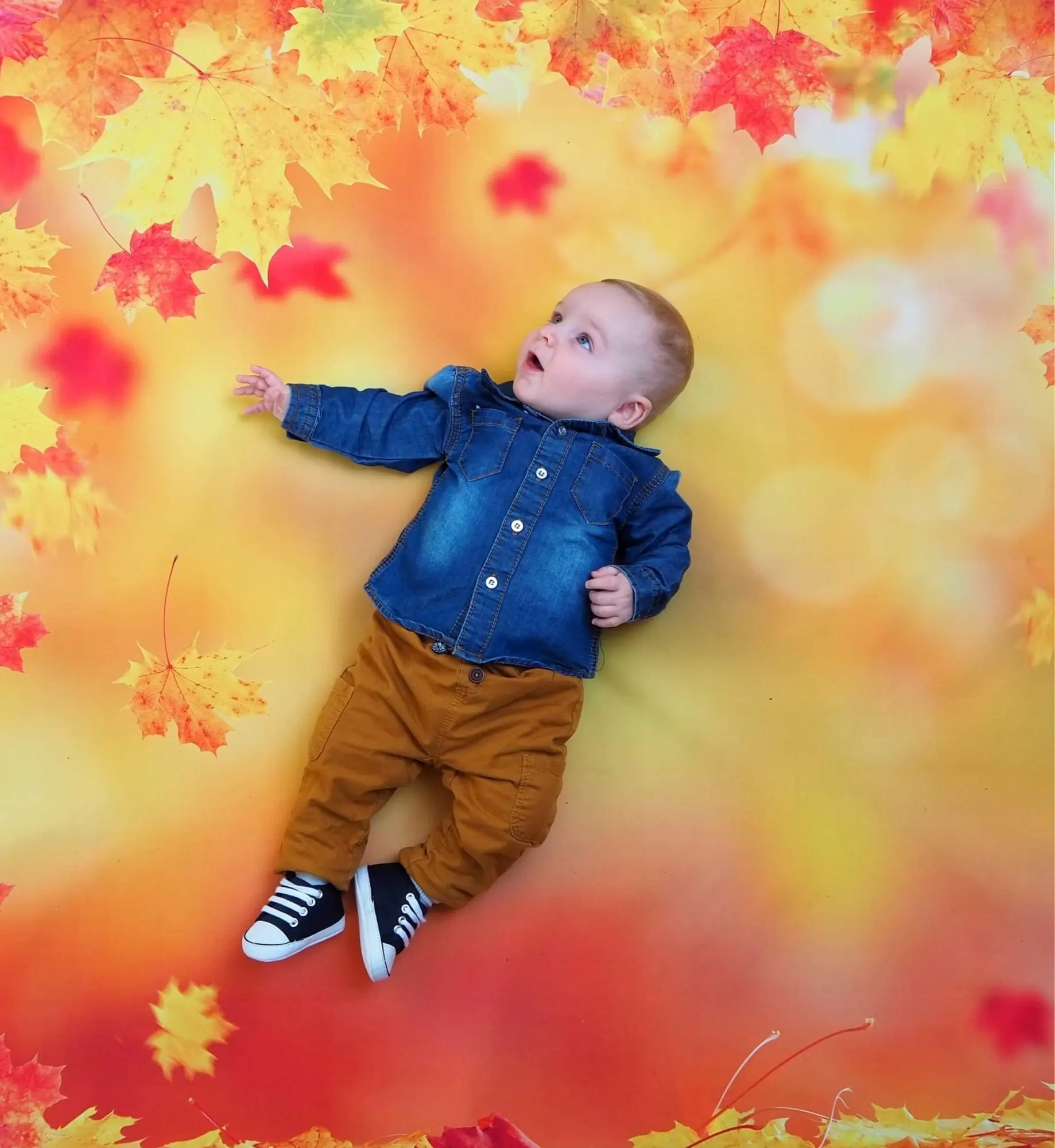 خلفية الخريف للتصوير الأصفر مابلز يترك منقطة ضوء خوخه حفلة الطفل الطفل المناظر الطبيعية الخلابة صور خلفية فوتوستوديو