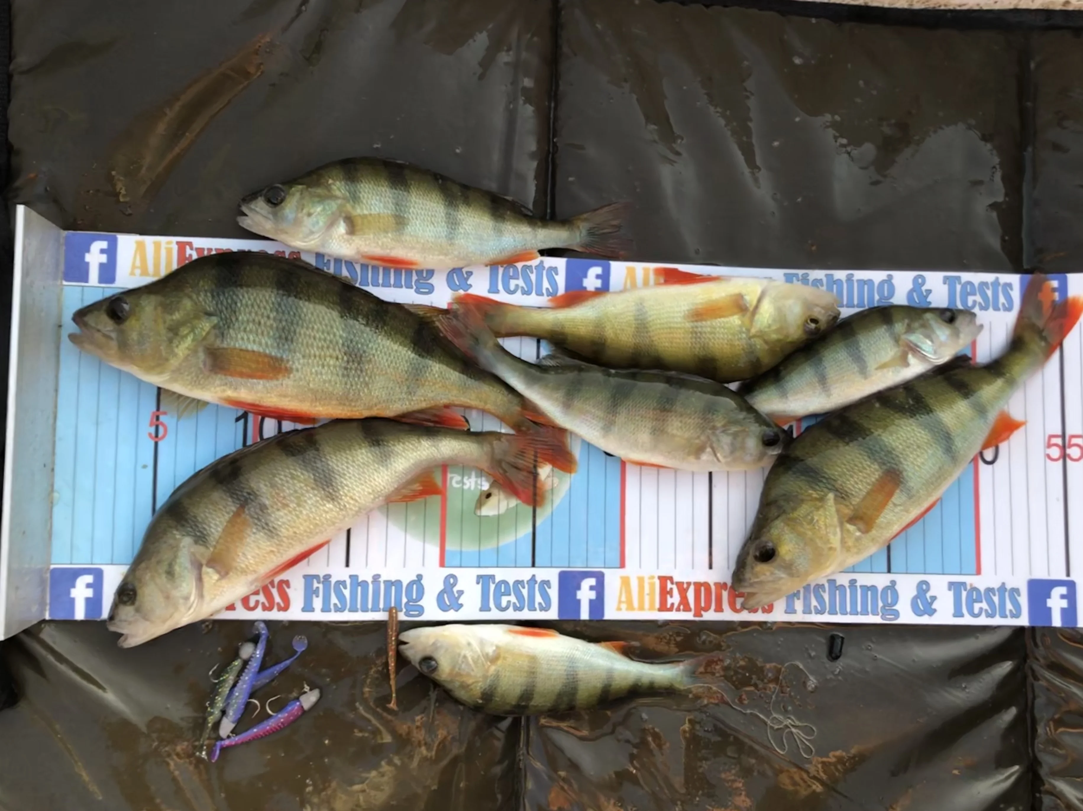 Supercontinent  Fishing Lures New color updates, continuous updates! 5CM 8CM 9.5CM 11CM