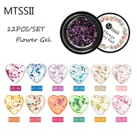 6/12PCS Natural Dried Flower Gel Nail Polish Set Soak Off Nail Art Gel Varnish Flowers Gel Nail Polish DIY Design Manicure Kits