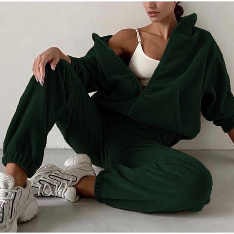 Casual Women Fleece Hoodie Two Piece Sets Hooded Zipper Outerwear And Harem Pant Suit Autumn Winter Fashion Streetwear Tracksuit