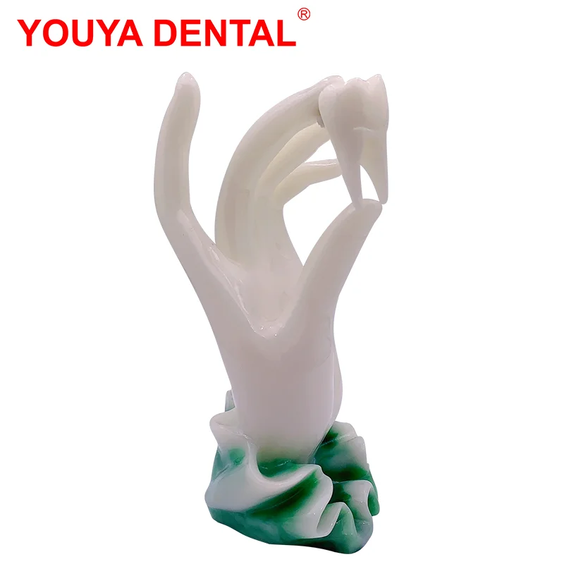 Dentistry Decoration Dentist Gifts Dental Figurines Tooth Jewelry Hand Sculpture    Clinic Desktop Showcase Ornament Furnishings