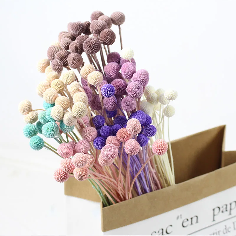 

Billy Ball Dried Flower Decorative Preserved Flowers Natural Eternell Craspedia Bouquets,Halloween Decoration Artificial Flowers