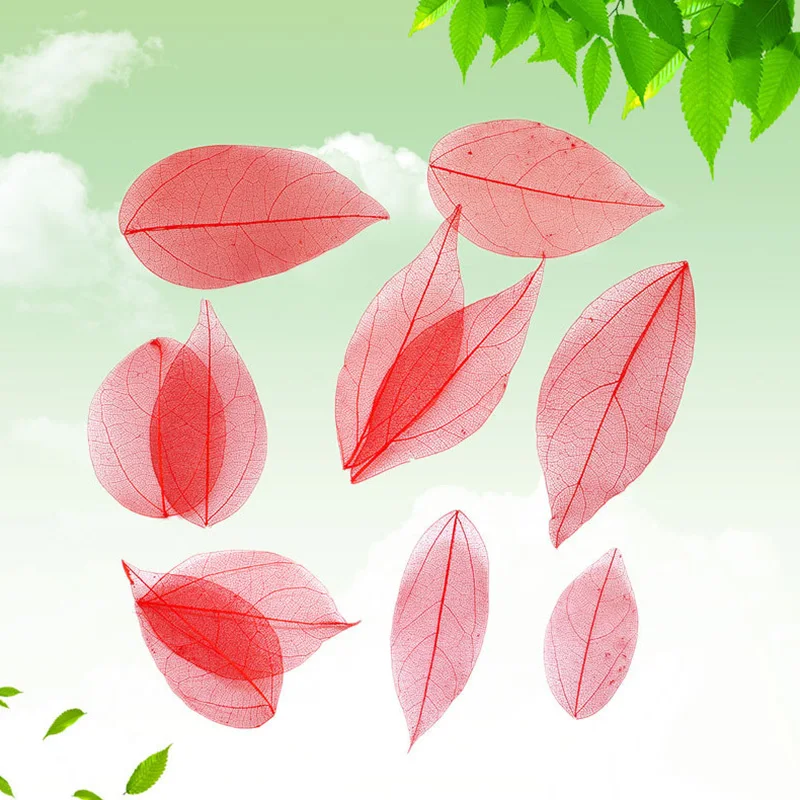 20pcs/Set Natural skeleton Leaf Vein Dried Nail Art Flowers Material for DIY Bookmarks Party Home Decor DIY Handmade Materials