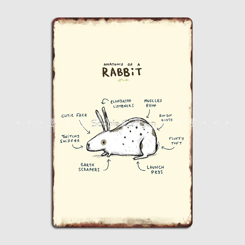 

Anatomy Of A Rabbit Poster Metal Plaque Garage Club Wall Plaque Club Home Funny Tin Sign Poster