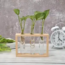 Glass Vase with Wooden Frame for Bonsai #3