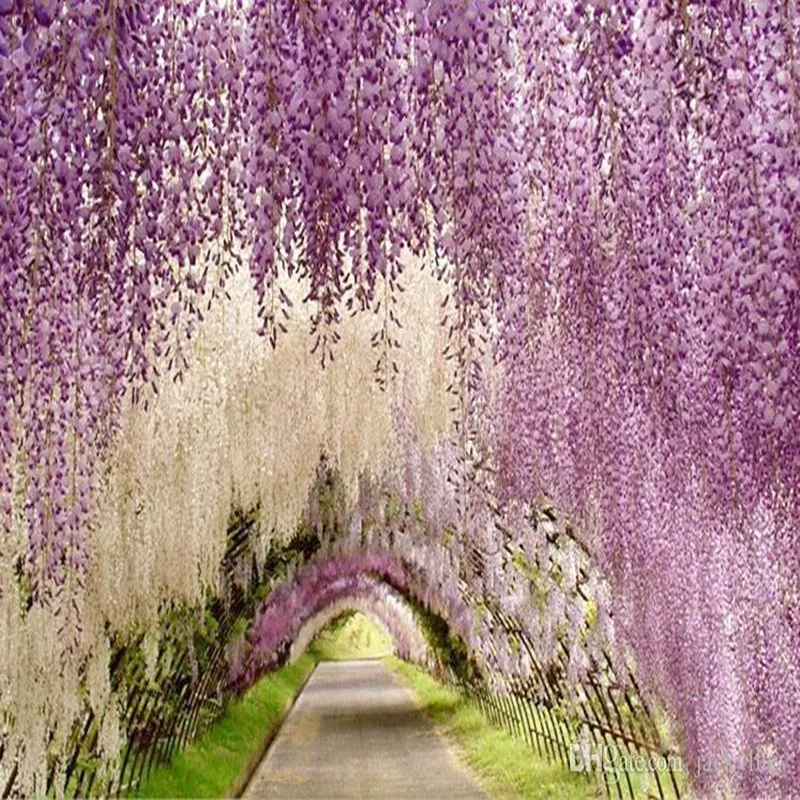 

Upscale Artificial Silk Wisteria Flowers For DIY Wedding Arch Square Rattan Simulation Flowers Home Wall Hanging Decoration