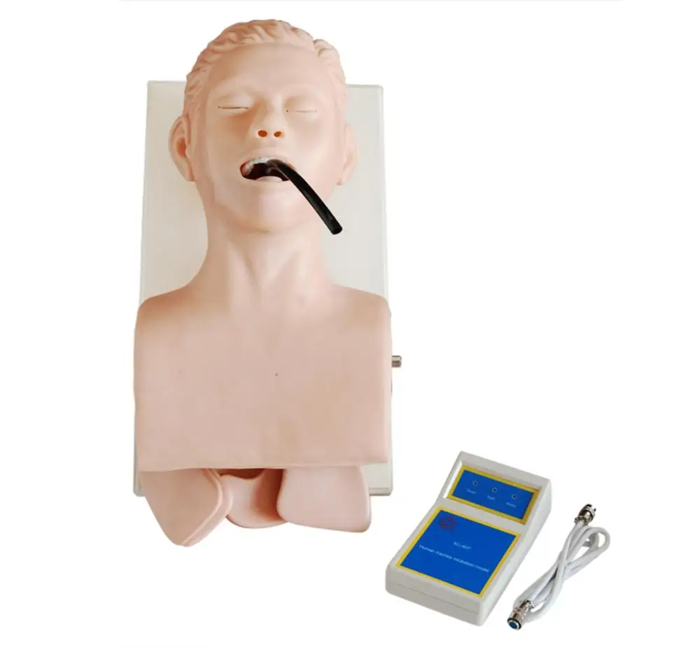 

Training dummy Medical teaching Nursing skills Human Tracheal Intubation manikin