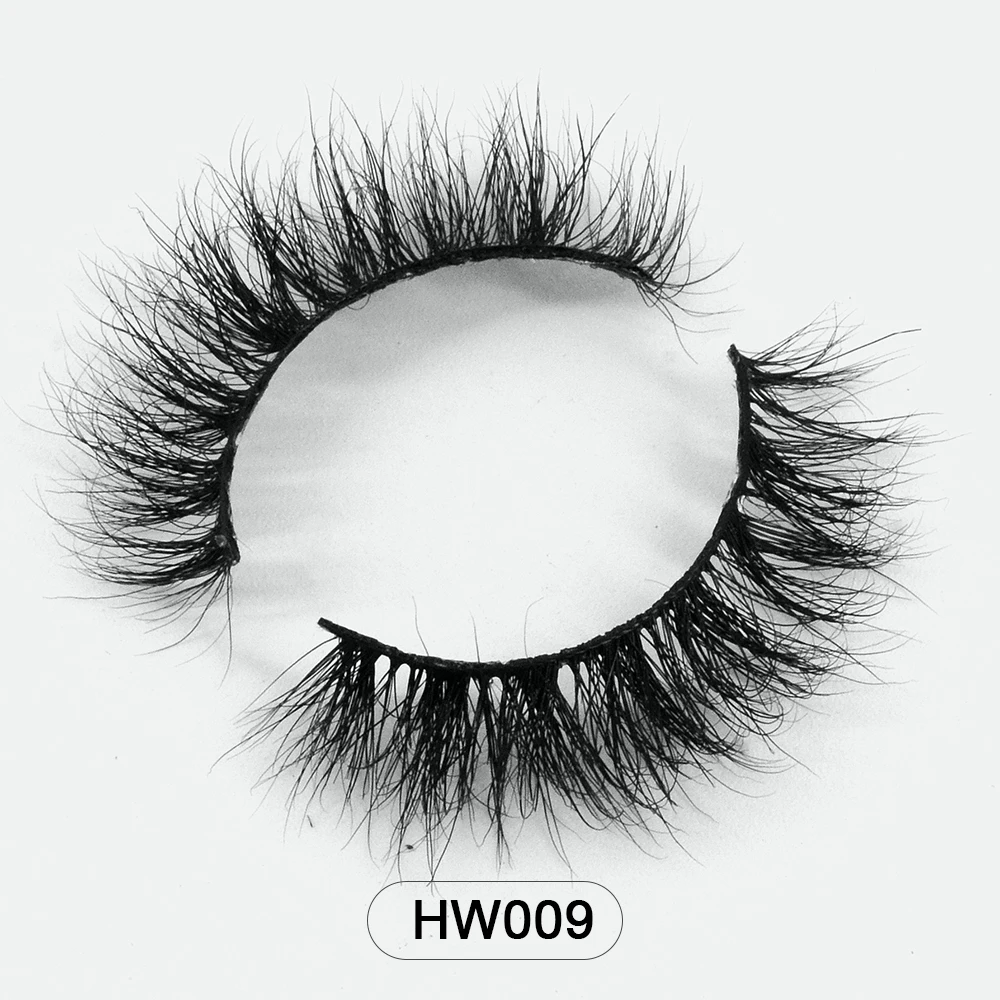 Variant: HW009