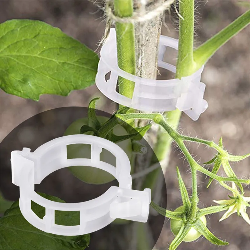 

50/100Pcs Reusable 25mm Plastic Plant Support Clips Clamp For Plants Hanging Vine Garden Greenhouse Vegetables Tomatoes Clips