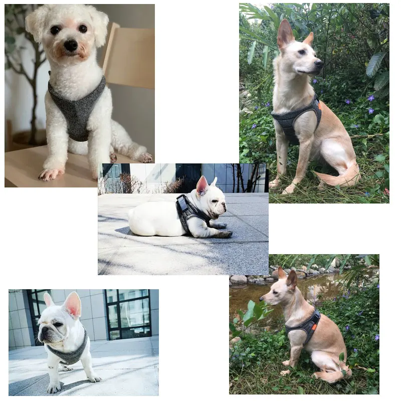 PETKIT Adjustable Dog Chest Harness Breathable Padded Air Pro Dog Harness Vest Soft Harness For Puppy Small Medium Dogs Outdoor