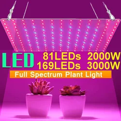 3000w lâmpada de crescimento para plantas led crescer espectro completo de luz phyto lâmpada fitoampy ervas interior luz para estufa led crescer tenda