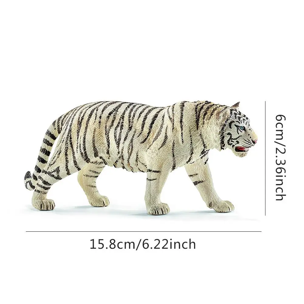 6.2 Inch White Tiger Environmental PVC Realistic Zoo Figures Jungle Wild Animals Siberian Tiger Model Kids Educational Toy