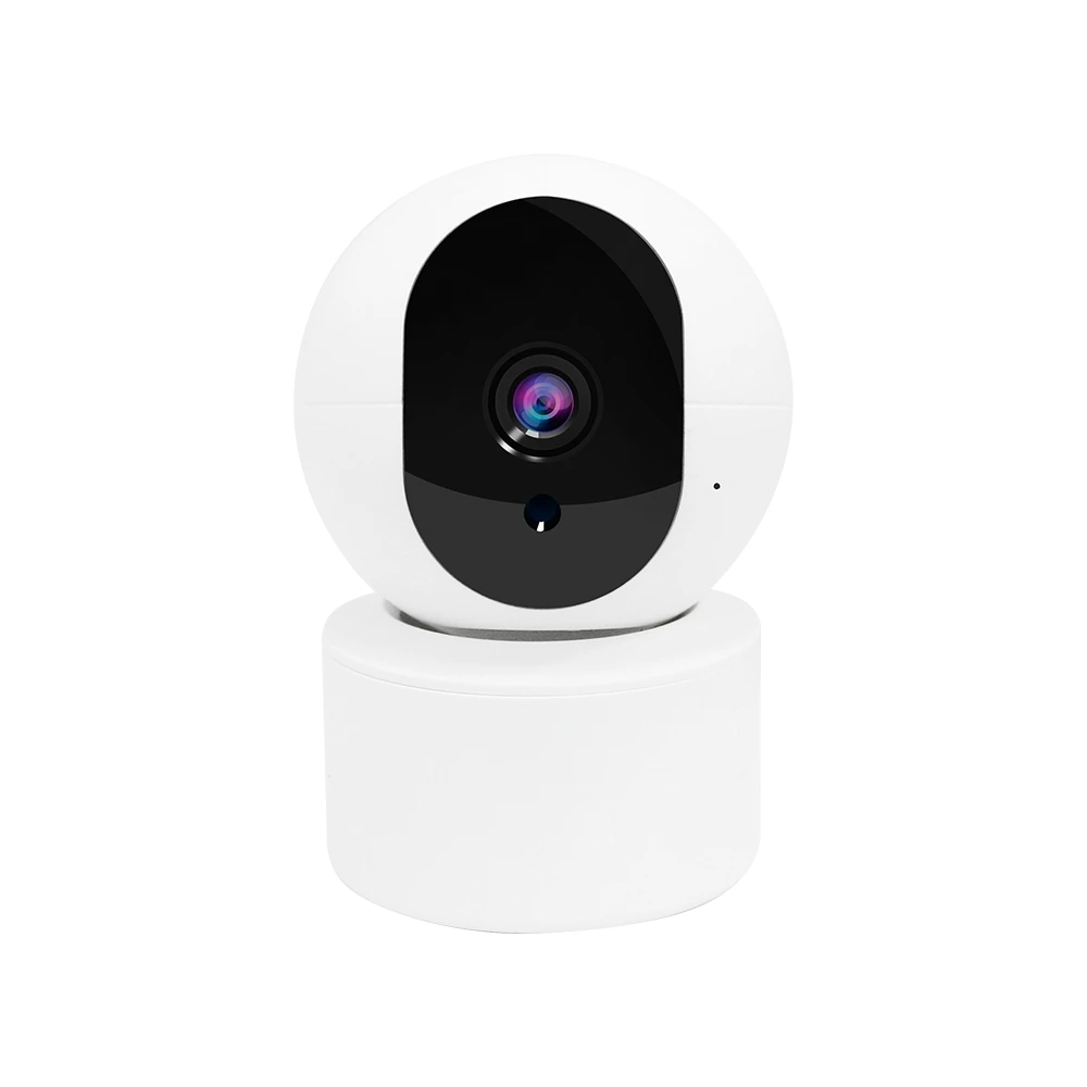 2MP 1080P Wireless PTZ IP Dome Camera IR Night Vision Motion Detection  Baby Monitor Support USB Extension Alarm Sensor