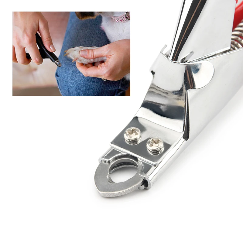 Thumbnail 2 - #42 Top 50 Cat Nail Trimmer