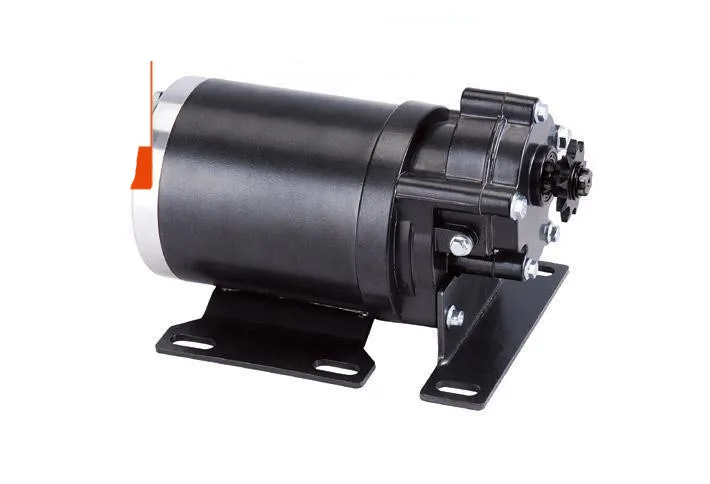 

Permanent magnet DC brush motor MY1020WZ-450W/48V/36V electric tricycle